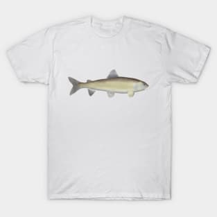 Mountain Whitefish T-Shirt
